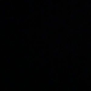 Meet your Posher, Selena